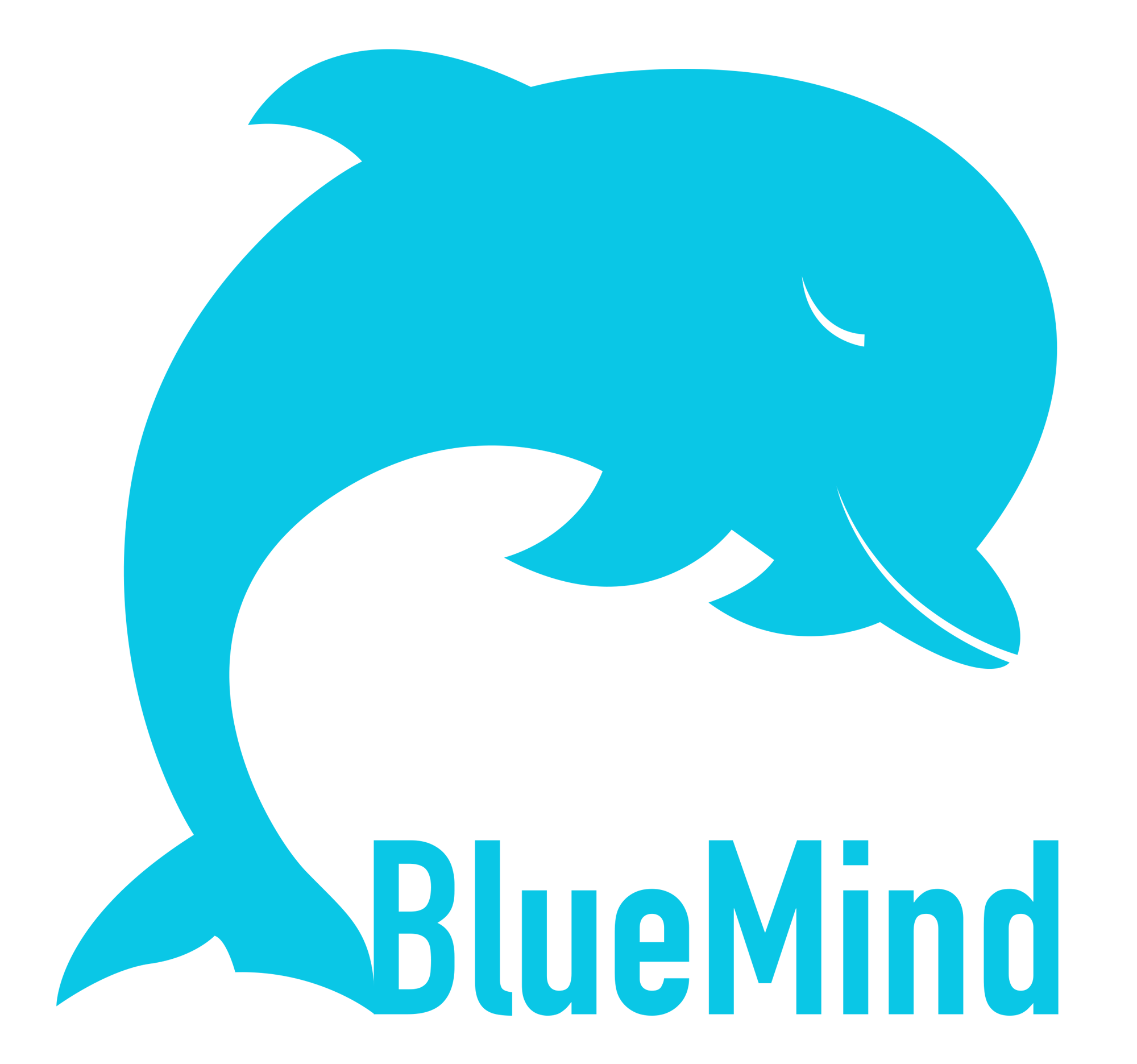 Bluemind-logo-new